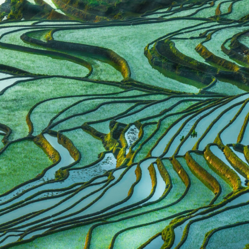 Yunnan Family Journey